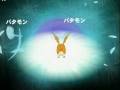 Digievoluzione Patamon - Angemon
