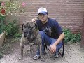 Masterdogs