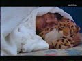Candamo - Melo, Maņuco y Mishaja Candamo - Melo, Maņuco y Mishaja