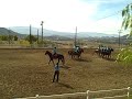 Troop G post horse show planned drill NOV 2008
