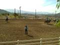 Troop G post horse show planned drill NOV 2008