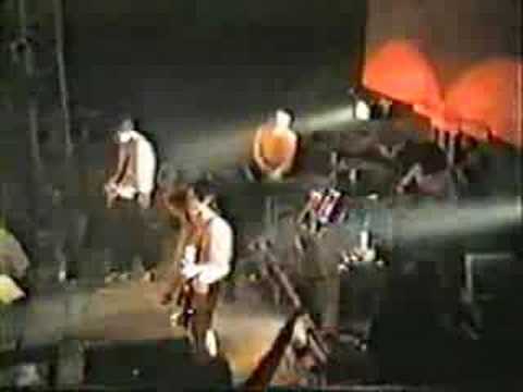 Video de Cybernecia de Babasónicos