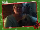 Xmas Greeting