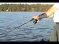 Bass Trackers