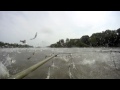 Asian Carp Jumping, View at Water Level