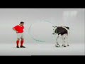 Funny Cow Funny Cow