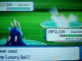 Shiny Castform with Pokeradar