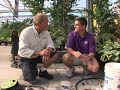 Simple Drip Irrigation