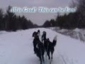 Border Collie video