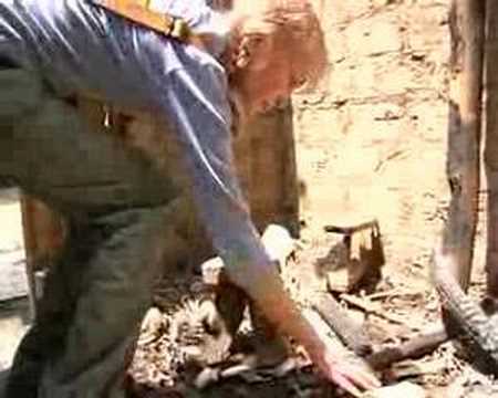 Mia Farrow in the Central African ...