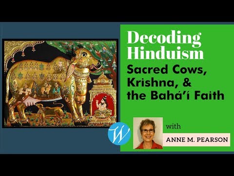 Sacred Cows, Krishna, and the Bahá'í Faith: Decoding Hinduism