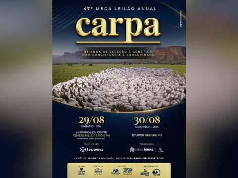 47° Mega Leilão Anual Carpa – Etapa Touros Nelore PO