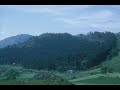 VIDEO - Forester George Ivison Remembers... VIDEO - Forester George Ivison Remembers...