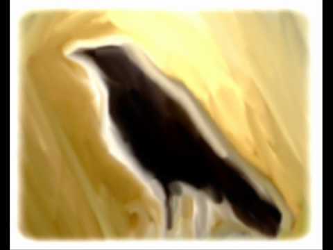 Youtube Video SSUjs1fqm0s