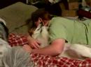 Puppy Love