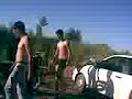 capullos de pantano