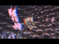 Cat's Eyes Face In The Crowd Video and Lyrics