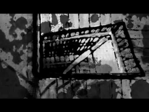 Immagine anteprima YouTube