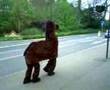 Panto horse!