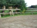 max springen op dudie de superpony!