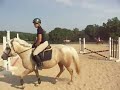 Biscotti- trot work