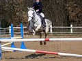 concours cheval