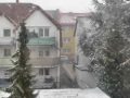 kleiner Schneesturm in Ludwigshafen am Rhein...