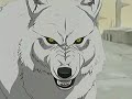 AMV- Wolf's Rain -Evanescense-