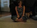 Shiba Inu - Nanea - Circle Crazy