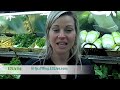 E3Live and Healthy Living