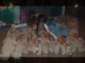 Homenagem a DRA.wmv