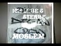 DEL-AW (MAJOR&BEKRAN) FEAT. TIGER - ANSCHLAG (EIN SCHUSS)