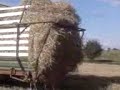 aj bardzo dużo słomy bylo;d robota na cały dzien he;d asz napchana przyczepa!