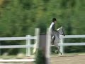 So Far So Good - Short Stirrup Pony For Lease
