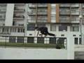 Parkour Viseu Trailer