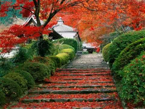 Japan Travel Guide – Dos and Donts