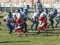 2008 Bayside Bronco Tiny Mites - Game 8 2008 Bayside Bronco Tiny Mites - Game 8