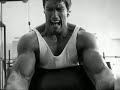 arnold vs lou