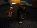 Charlie and the singing turkey