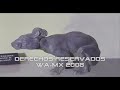 top 20 animales extintos y animales en peligro de extinción