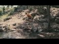  - MovieZen Video