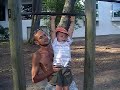 DSCF1419