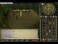 My Runescape Items and Holiday Items