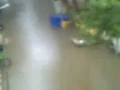 videos de SKT-Surround-Rain-Water-Nov08.wmv