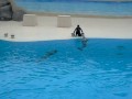 Gardaland Palablù