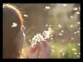 videos de Dandelion