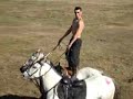SPECTACLE EQUESTRE SPECTACLE EQUESTRE