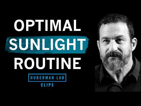 Optimal Morning & Evening Sunlight Routine | Dr. Andrew Huberman