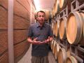 uchef.it_introduzione al vino: il processo produttivo. Video HQ