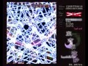 Touhou 8 - Imperishable Night: Spell Card No.210